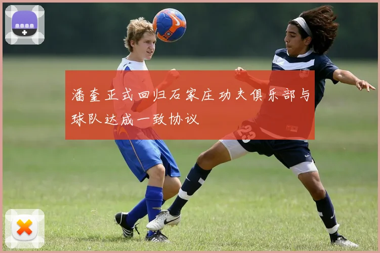 潘奎正式回归石家庄功夫俱乐部与球队达成一致协议