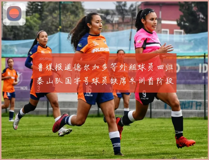鲁媒报道德尔加多等外租球员回归泰山队国字号球员缺席冬训首阶段